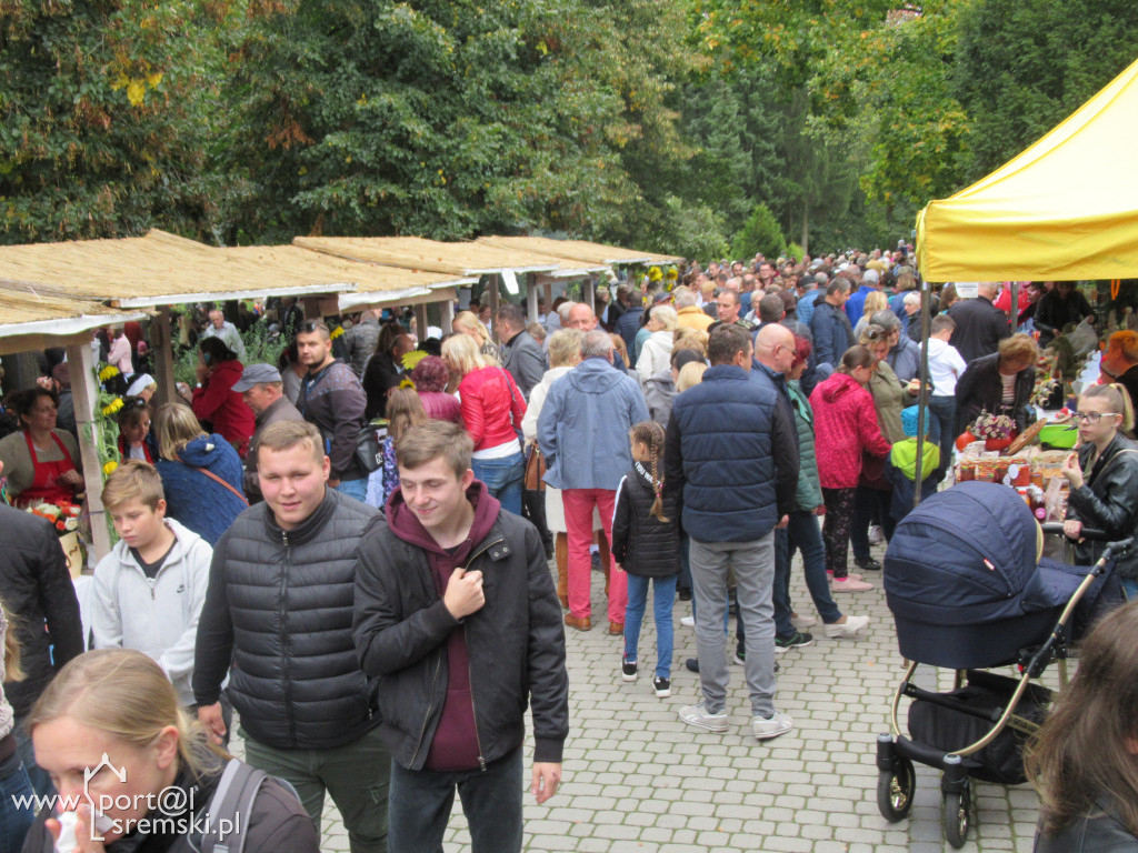 Dzień Korbola