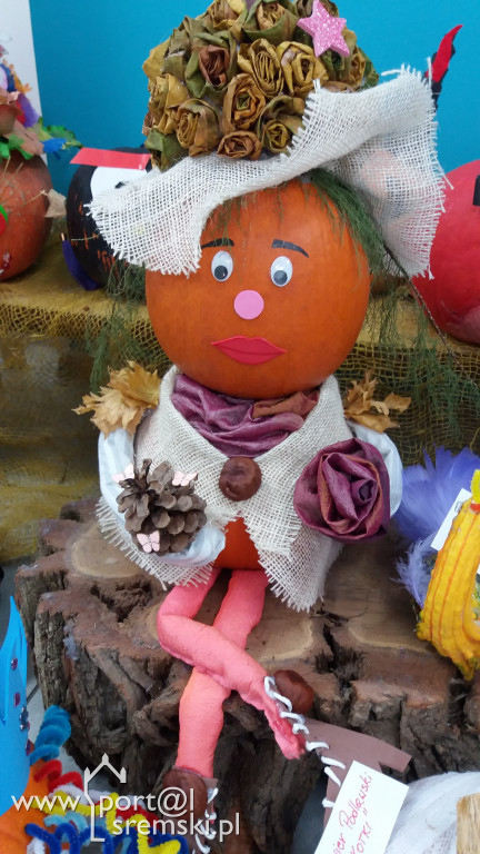 Dynia 2019