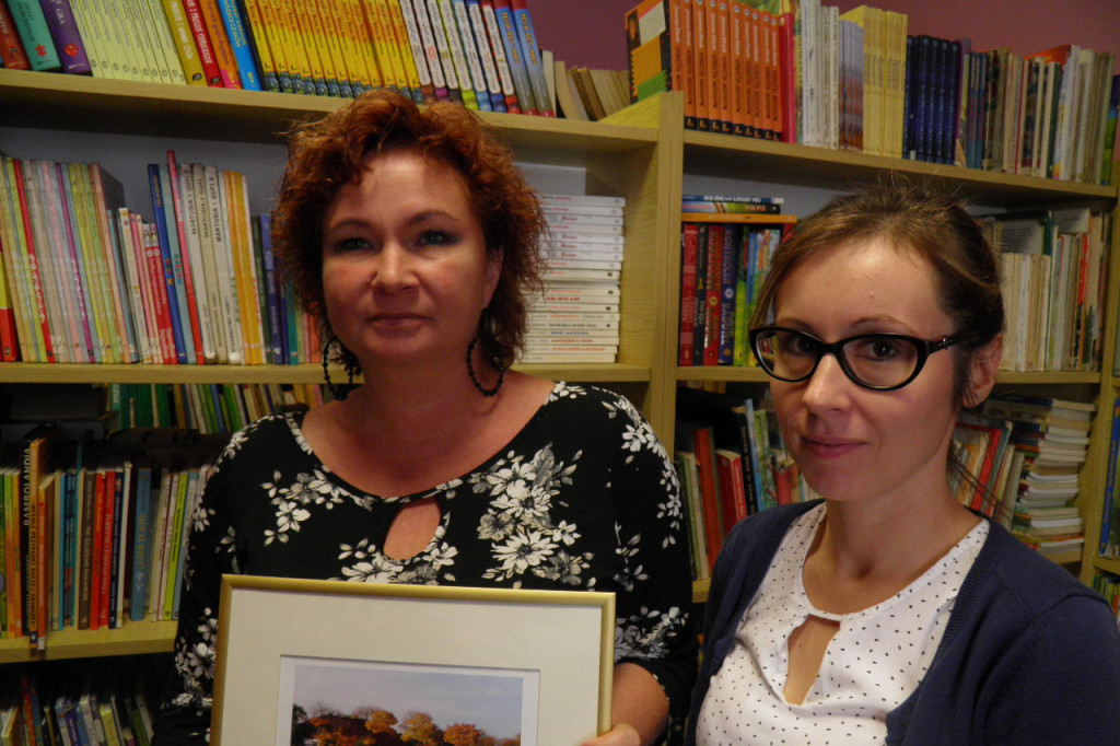 Biblioteka  Dolsk