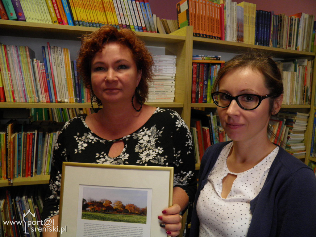 Biblioteka  Dolsk