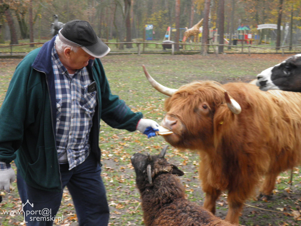 Śremskie zoo