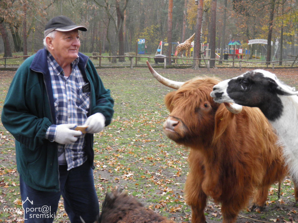 Śremskie zoo