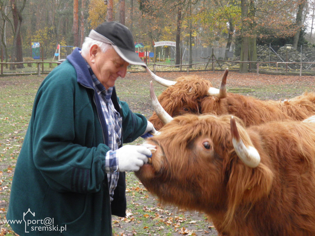Śremskie zoo
