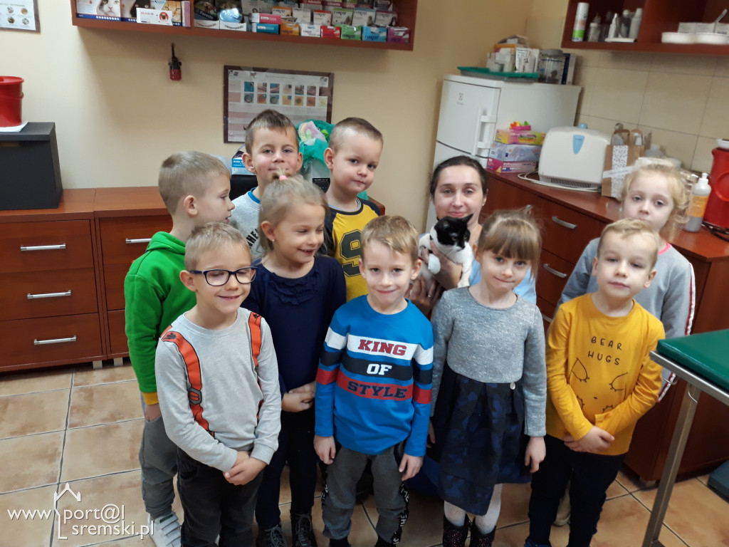 Pszczółki u weterynarza