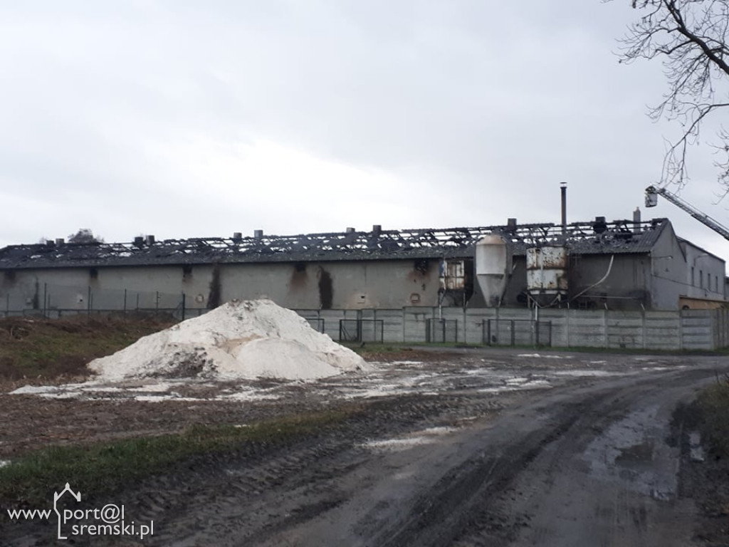 Płonie chlewnia