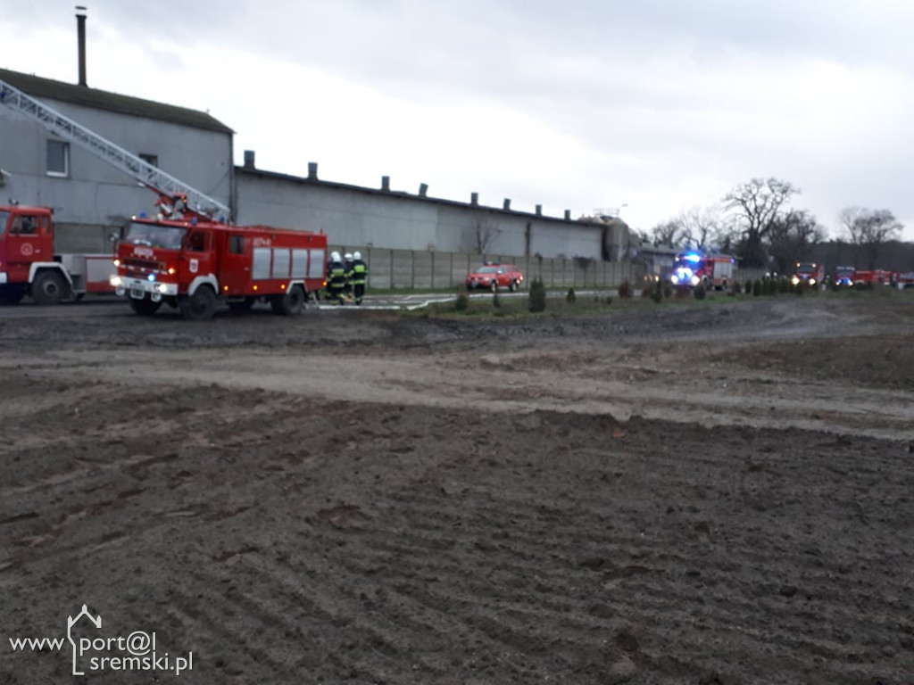 Płonie chlewnia