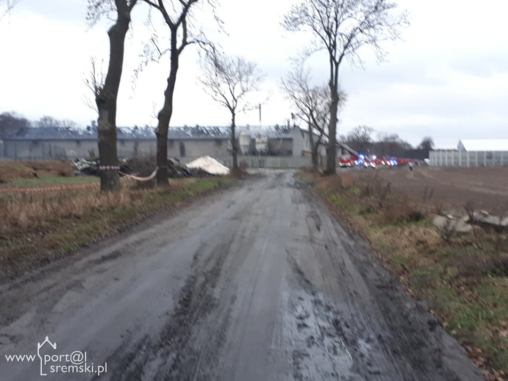 Płonie chlewnia