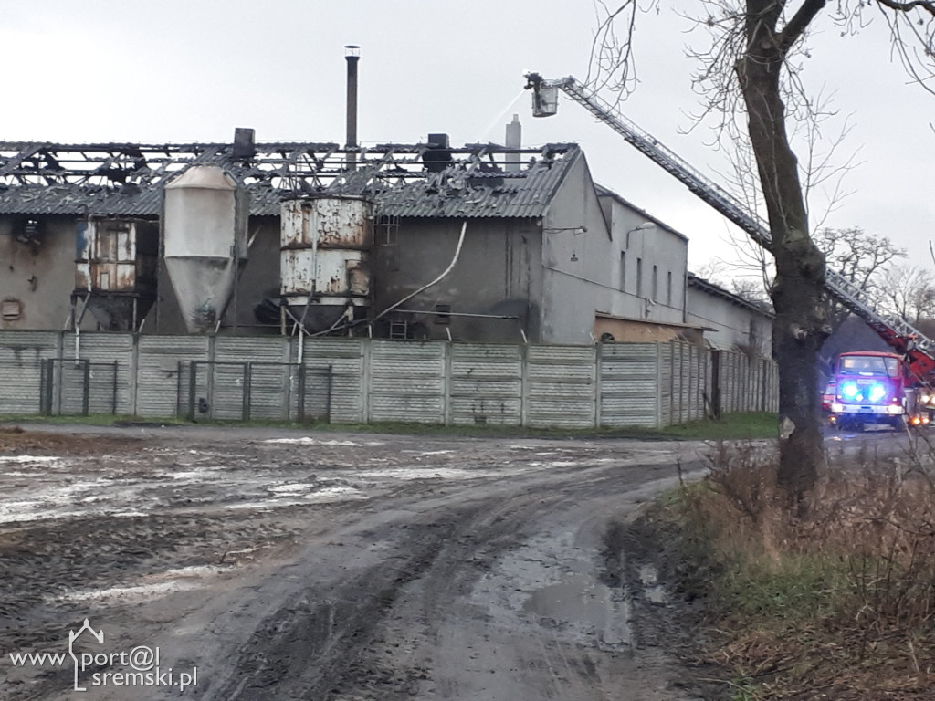 Płonie chlewnia