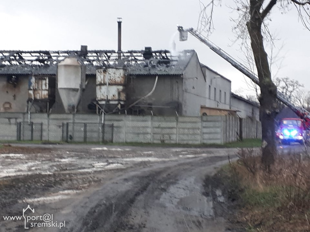 Płonie chlewnia