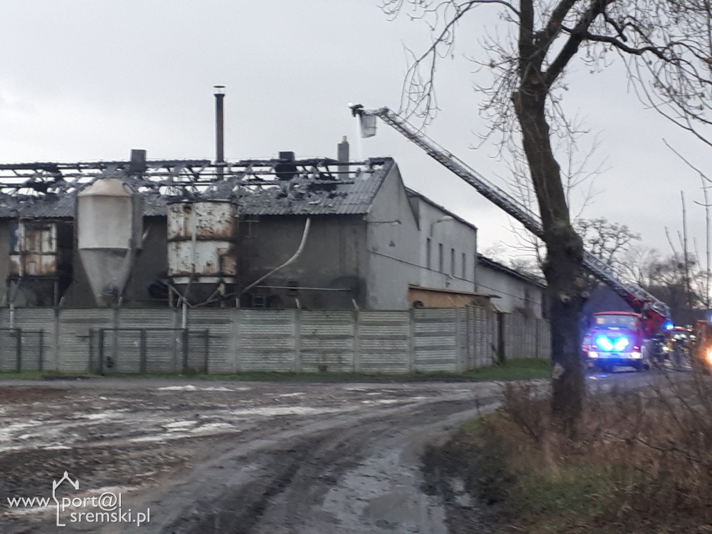 Płonie chlewnia