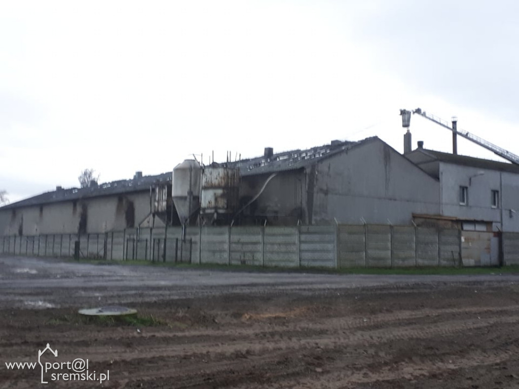 Płonie chlewnia