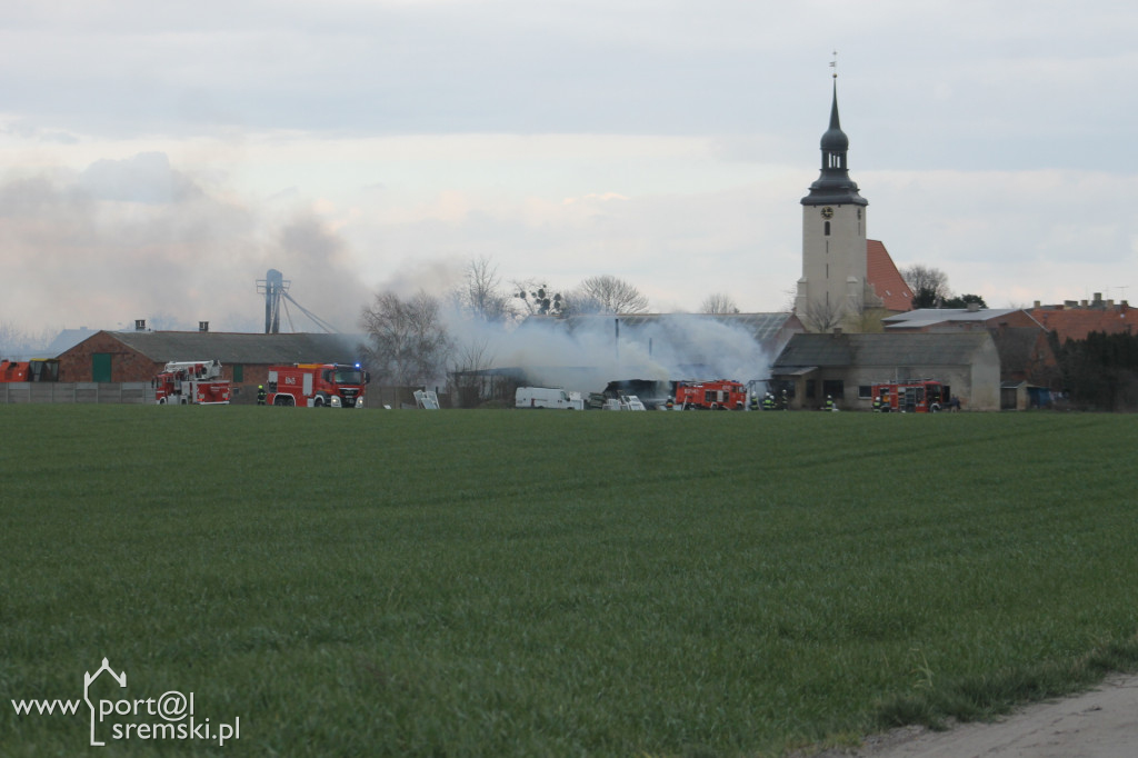 Mchy - pożar