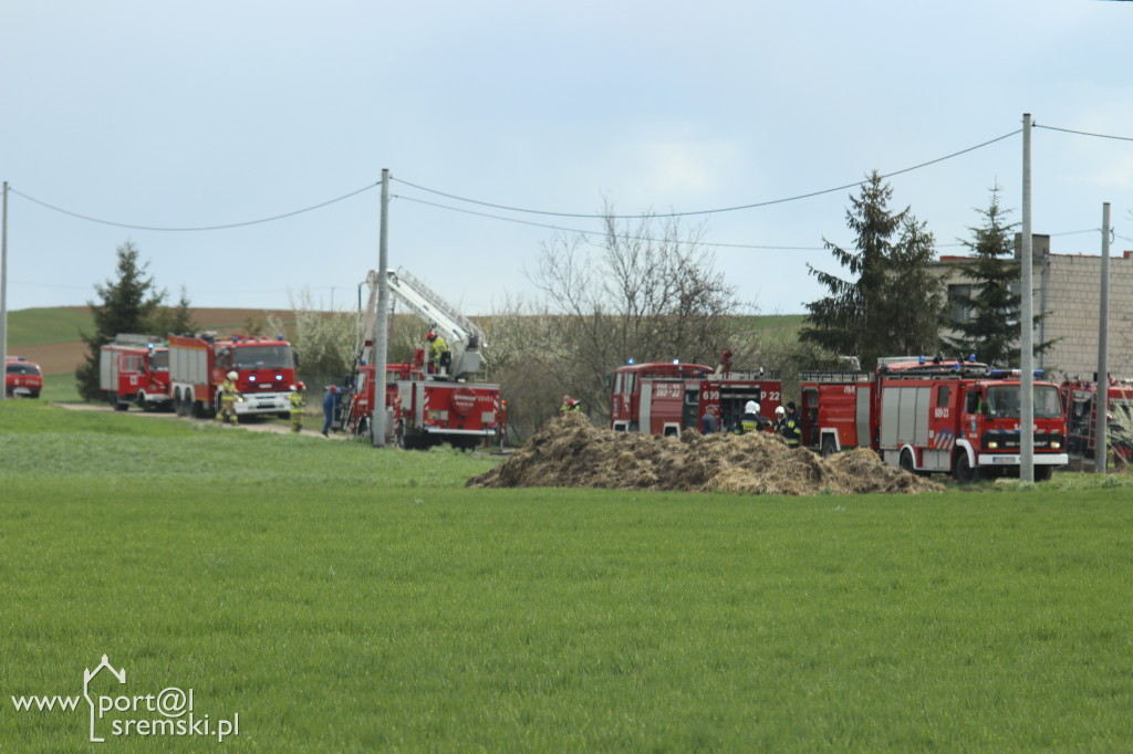Pożar w Lubiatowie