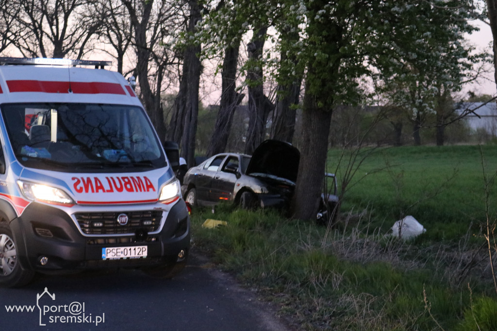 Łęg. Auto uderzyło w drzewo