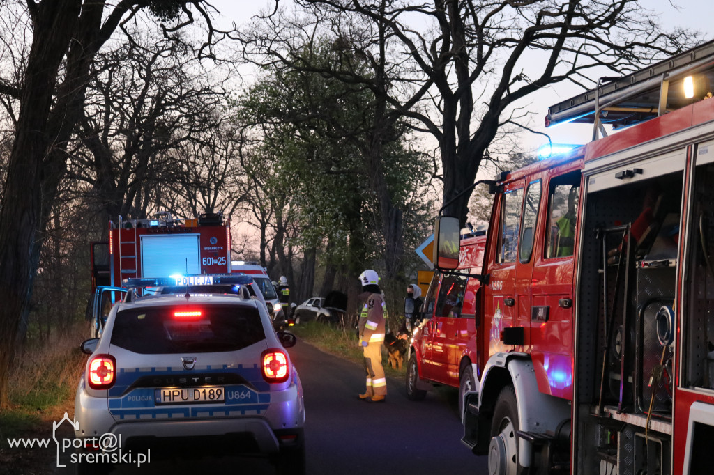 Łęg. Auto uderzyło w drzewo