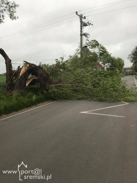 Wietrzna pogoda