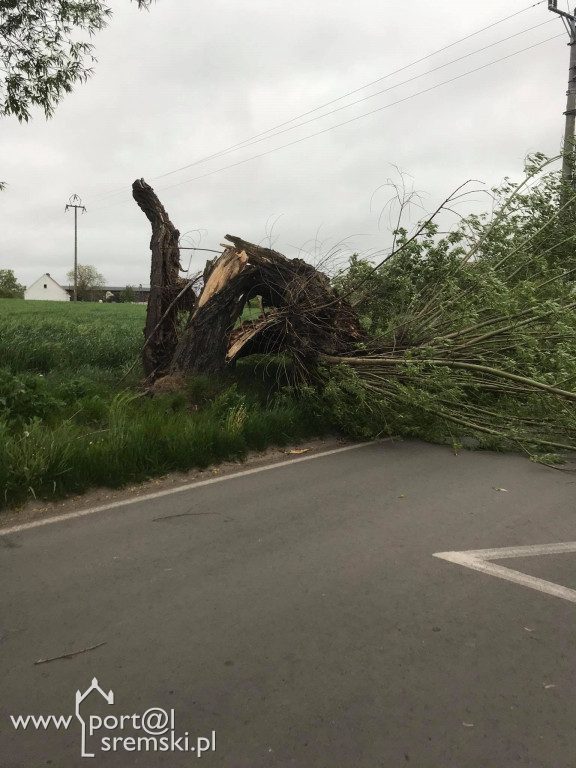 Wietrzna pogoda