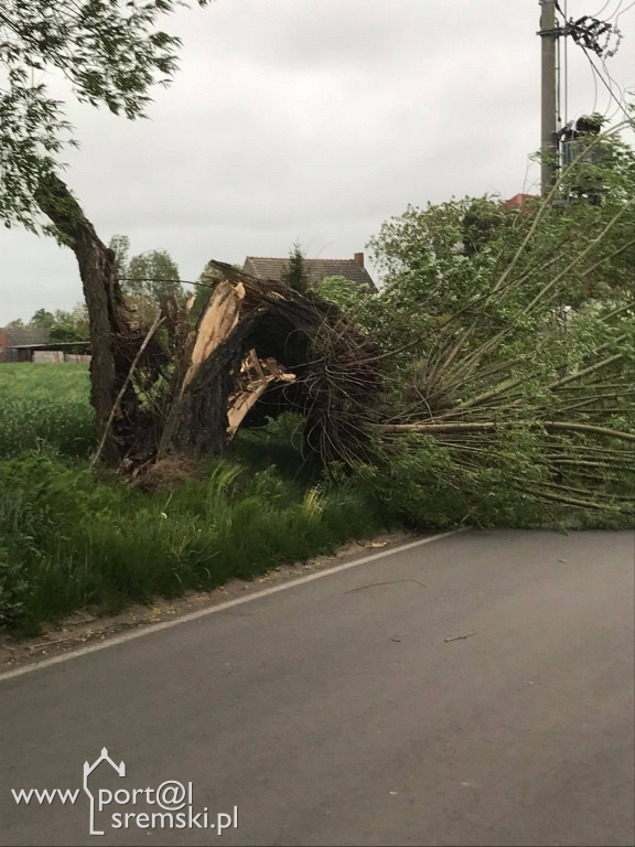 Wietrzna pogoda
