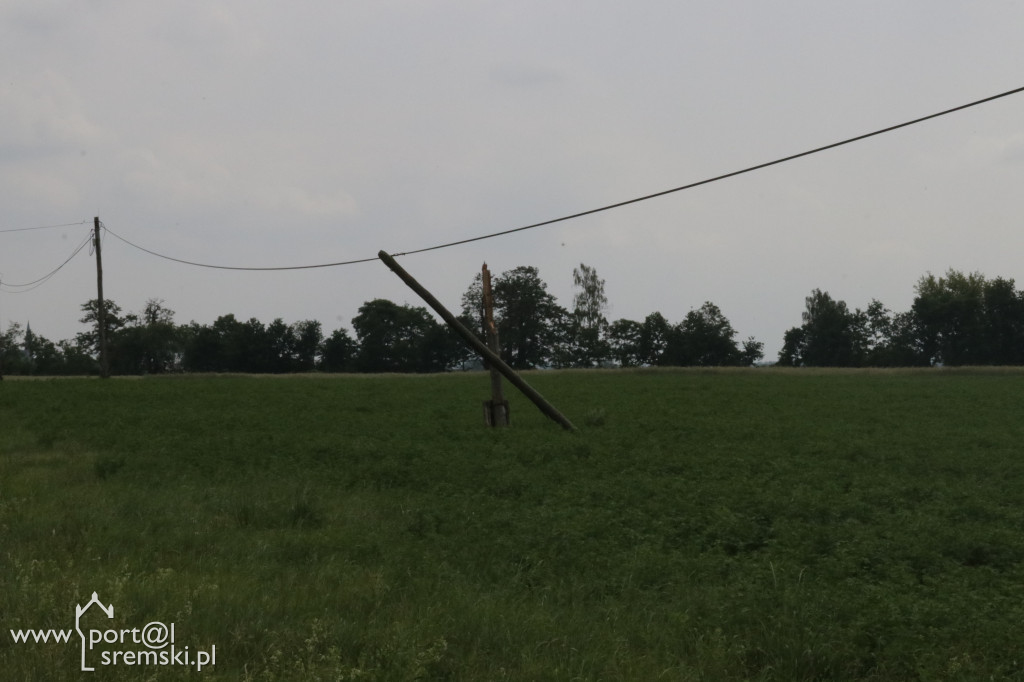 Krzywe słupy