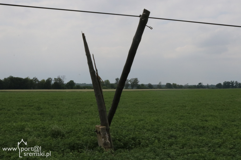 Krzywe słupy