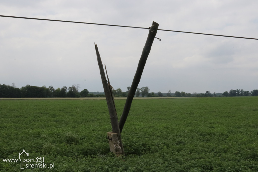 Krzywe słupy