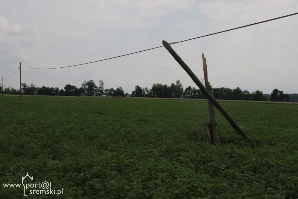 Krzywe słupy