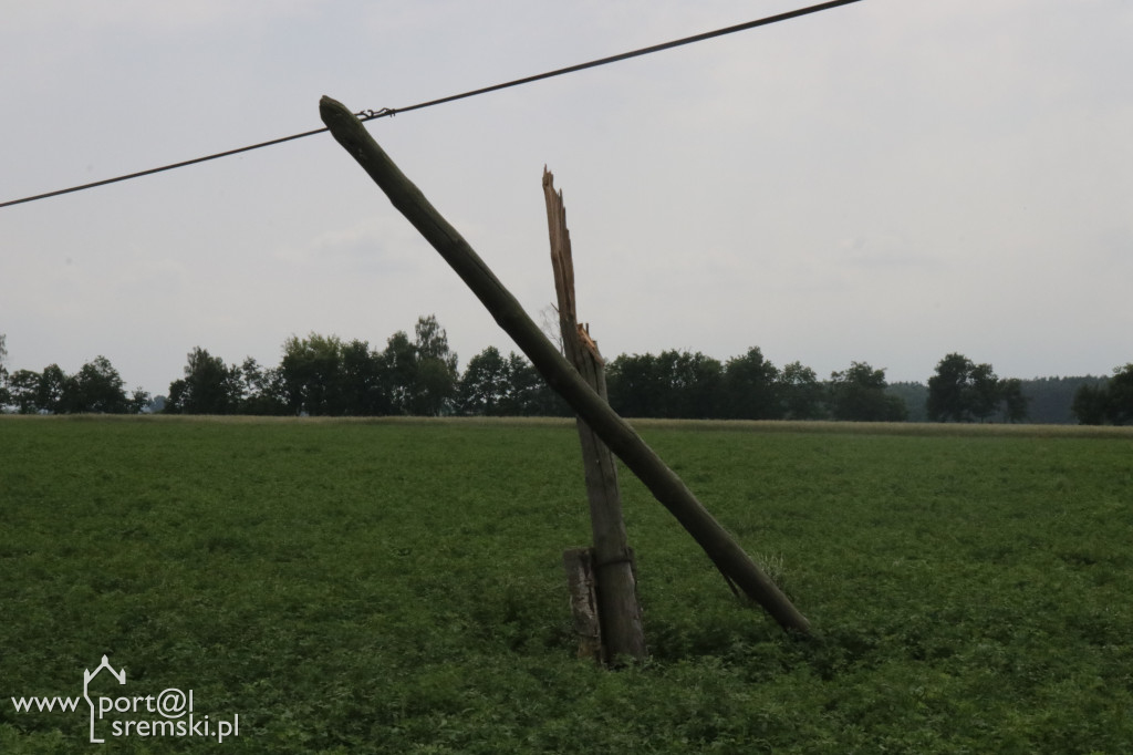 Krzywe słupy
