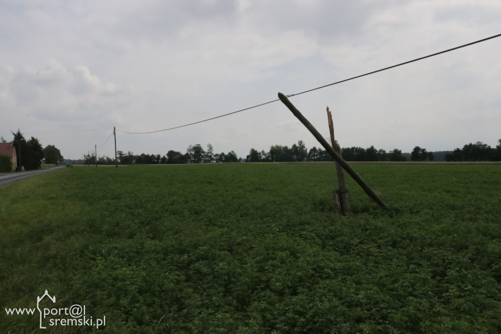 Krzywe słupy