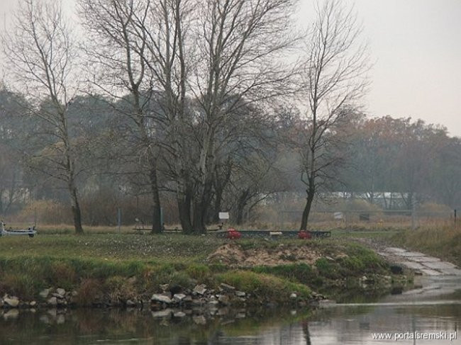 Śrem miastem protestów