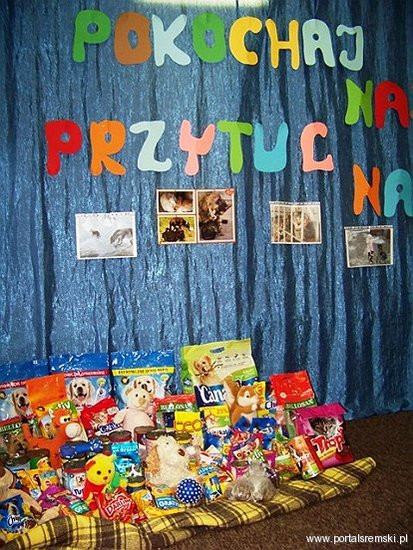 Współpraują ze schroniskiem