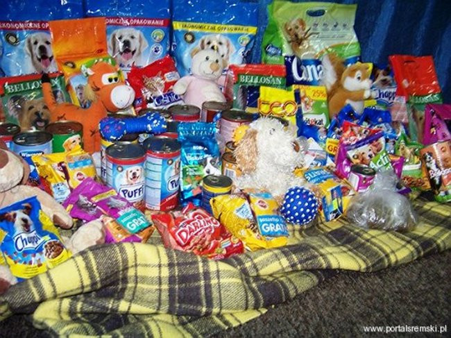 Współpraują ze schroniskiem