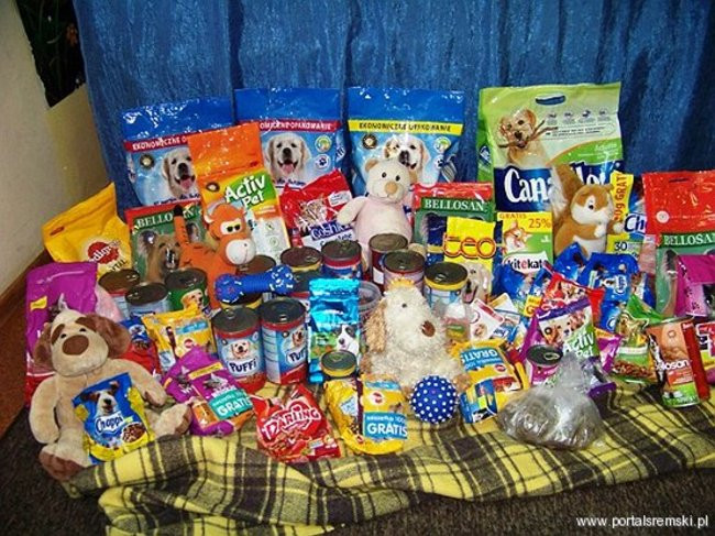 Współpraują ze schroniskiem