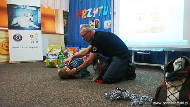 Współpraują ze schroniskiem