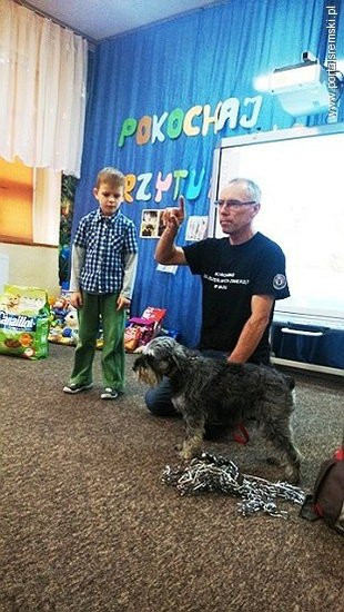 Współpraują ze schroniskiem