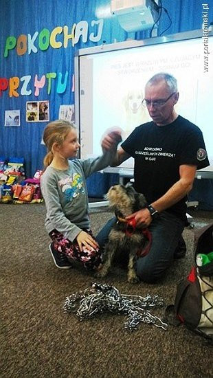 Współpraują ze schroniskiem