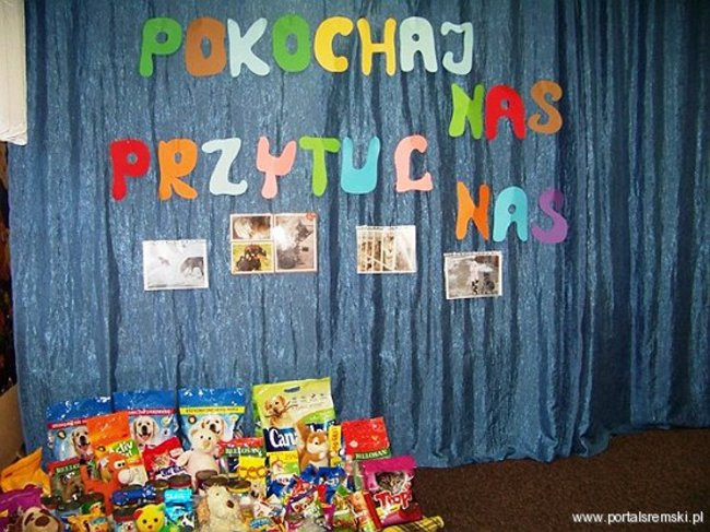 Współpraują ze schroniskiem