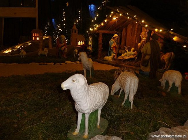 Pójdźmy wszyscy do stajenki