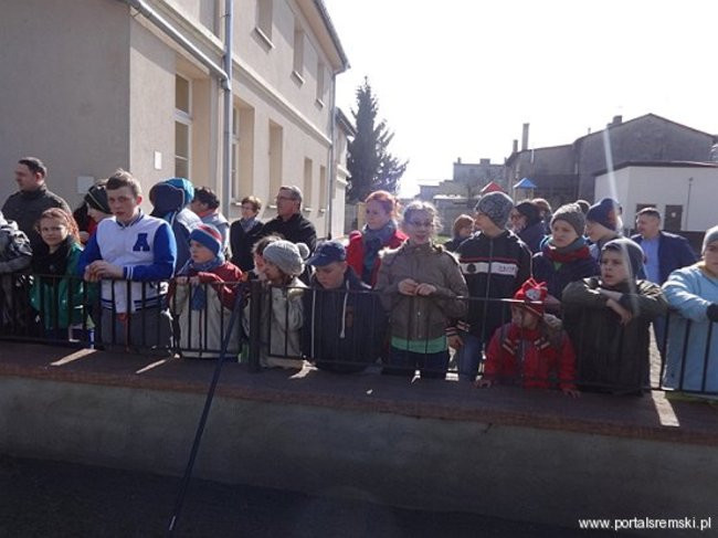 Uroczyste sadzenie lipy