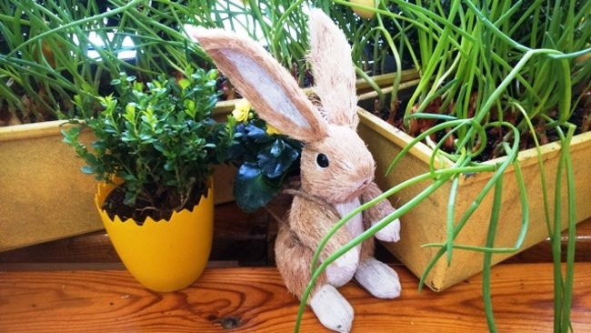 Świątecznie w przedszkolu