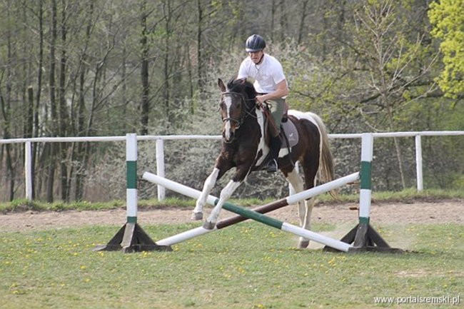 Konno w Andrzejówce