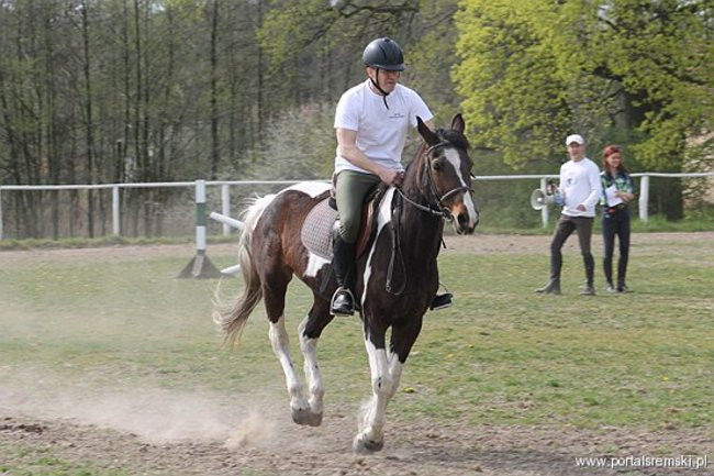 Konno w Andrzejówce