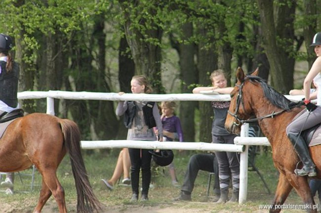Konno w Andrzejówce
