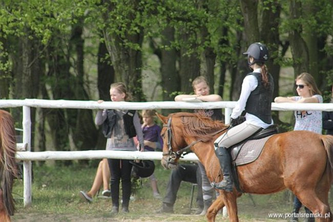 Konno w Andrzejówce