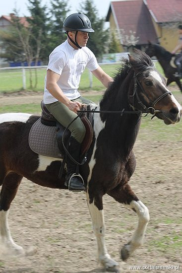 Konno w Andrzejówce