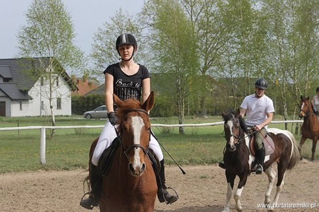 Konno w Andrzejówce