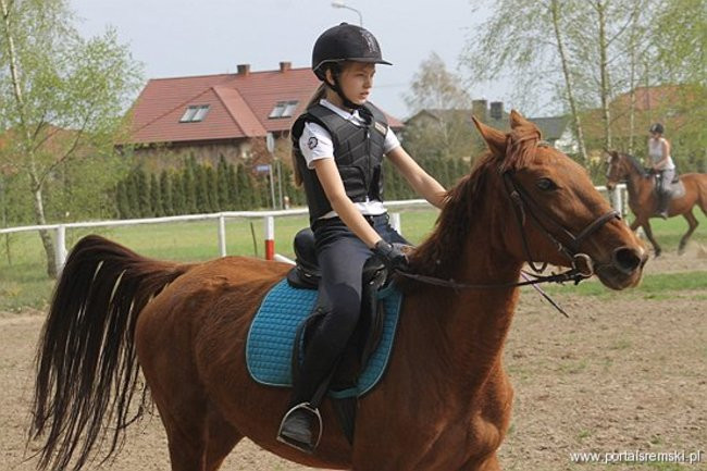 Konno w Andrzejówce