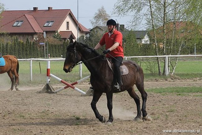 Konno w Andrzejówce