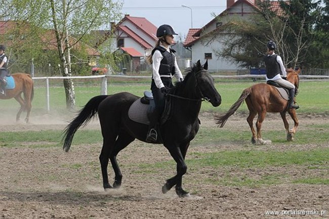 Konno w Andrzejówce