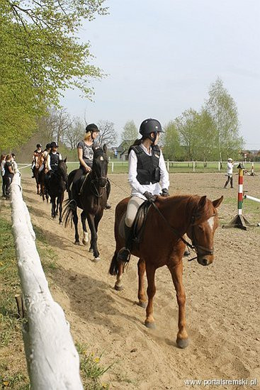 Konno w Andrzejówce