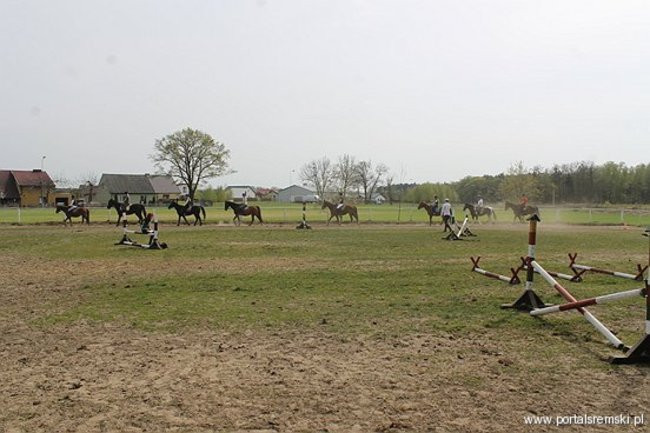 Konno w Andrzejówce